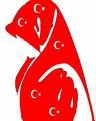Başörtüsü
