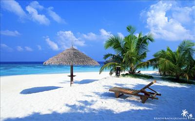 Tropical Beach