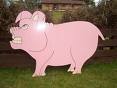 Angry pig