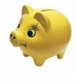 Yellow Pig??