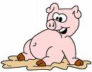 Big Pig