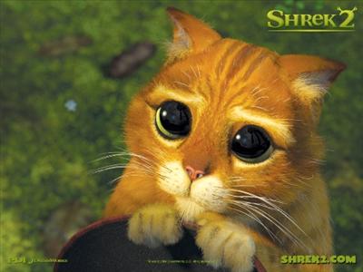 Cute Cat 2 