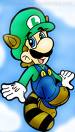 racoon luigi