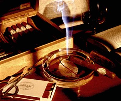 The Aficionado