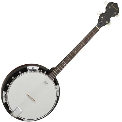 Shaynes Banjo