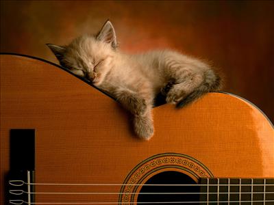 Cute Guitar 