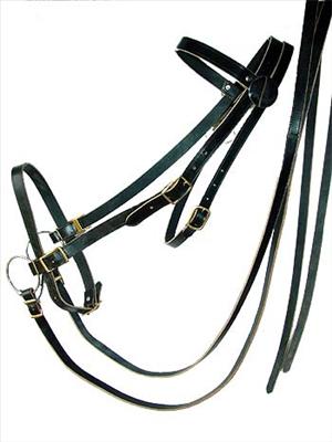 Bridle