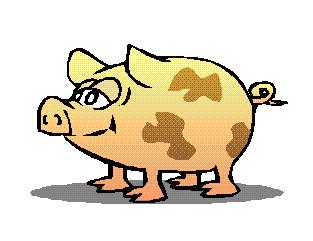Pig