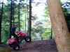TC Wheelie