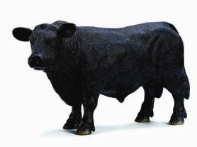 Black Angus Bull Toy