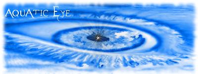 Ocean Eye