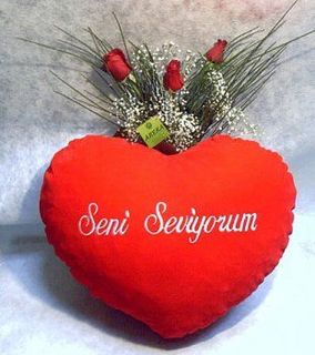 seni sewiyorum