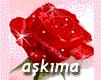 aşkıma