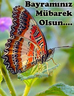 Bayramınız kutlu olsun !