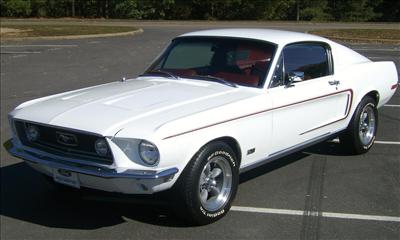 mustang