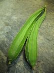 patola
