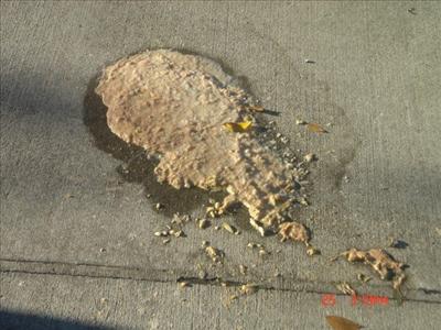 vomit