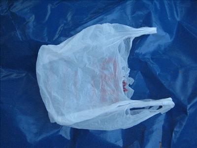 plastic bag