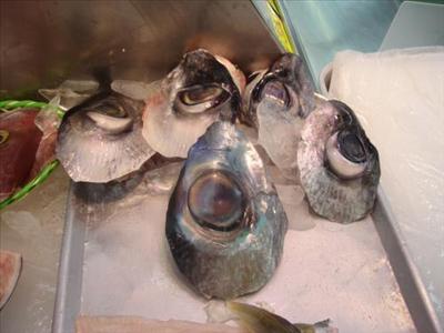fish eyes