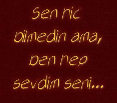 SENI SEVIYORUM