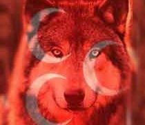 WLD WLF