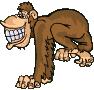 Monkey