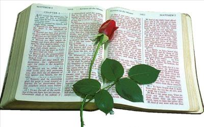 the  WORD