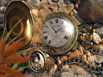 Lost watch