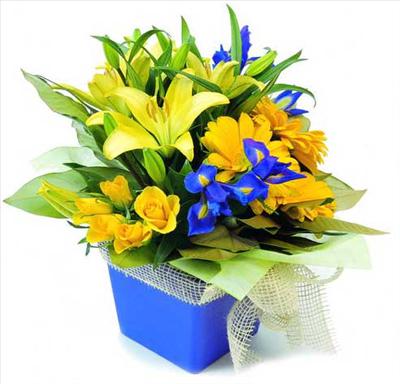 flowers_03