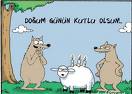 dogum günü
