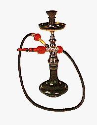 shesha
