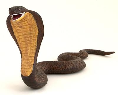 snake