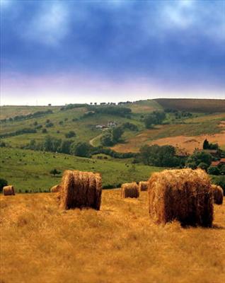Lincolnshire Wolds