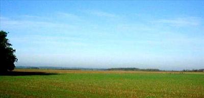 Lincolnshire Fens
