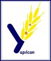 YAPILCAN LOGO