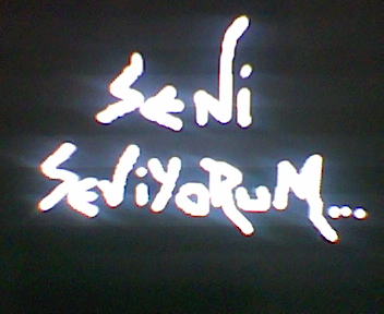 Seviyorum işte