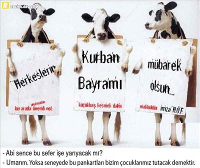 KURBAN BAYRAMI