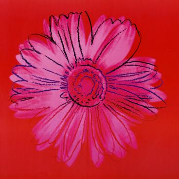 Daisy by Andy Warhol