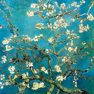 'Almond Branches in Bloom' by Van Gogh