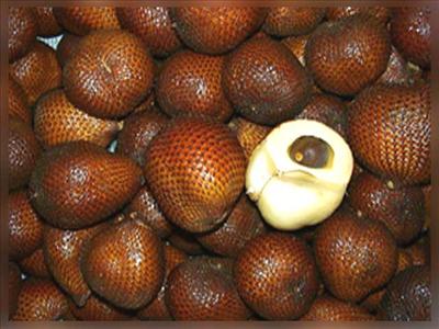 Salak