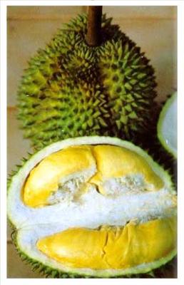 Durian