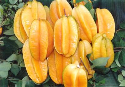 starfruit/ Belimbing