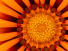 Orangy