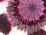 Purple Hearts