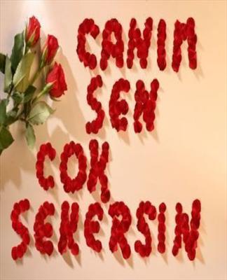 ŞEKER KISSS