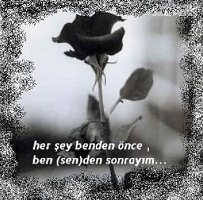 KİVİ