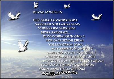 Beyaz Güvercin