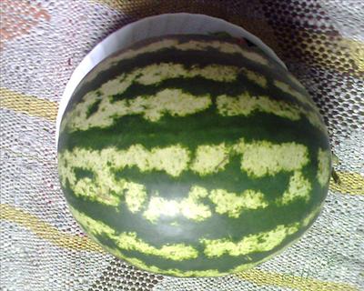 dlla7