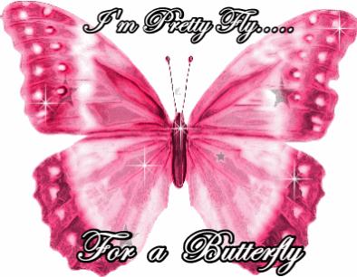 Papillon 17