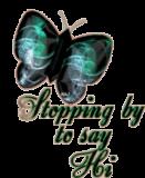 Papillon 15